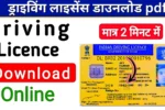 Driving Licence Download PDF